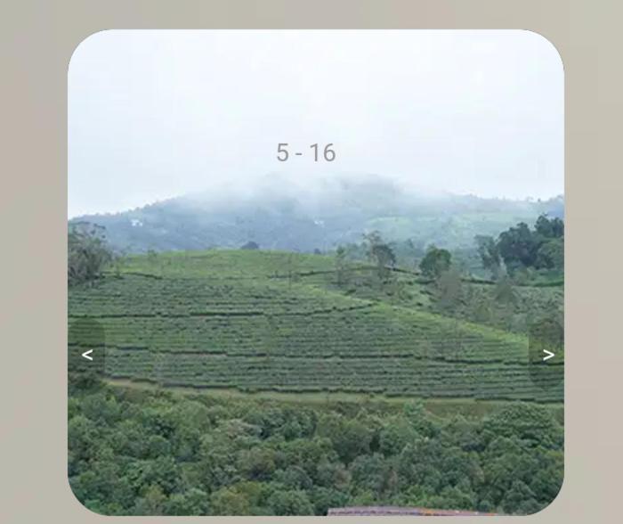 Vagamon Tea County Bed & Breakfast Екстериор снимка